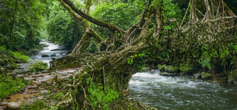 Meghalaya Backpacking