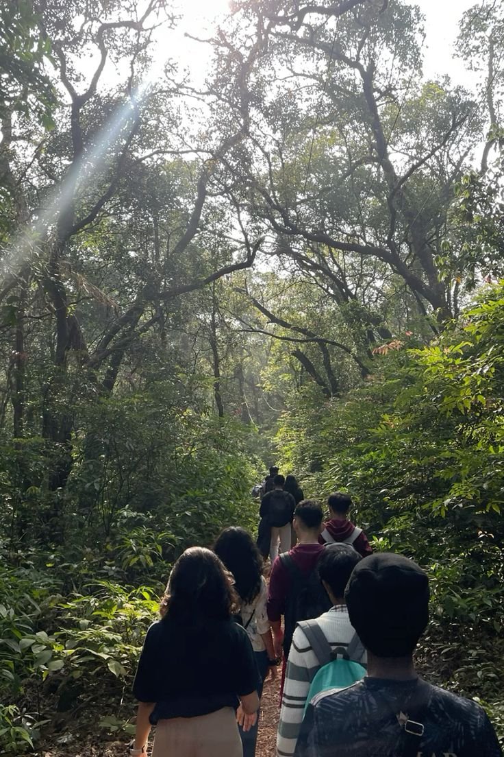 4 Days Wari Chora Meghalaya Tour Package, photo 2