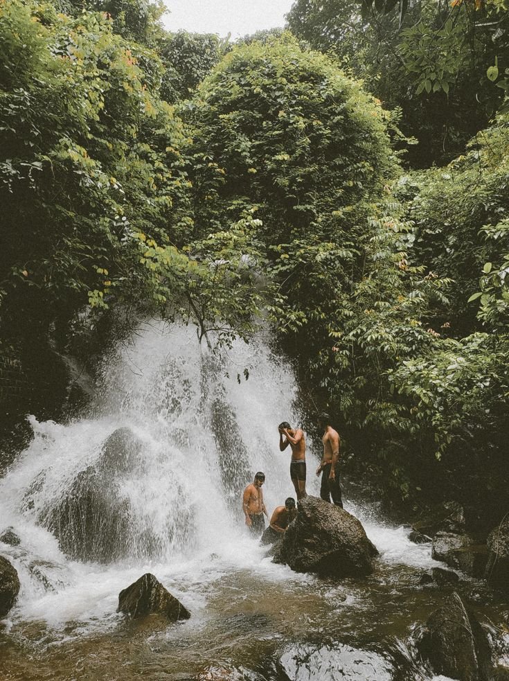 Kerala Tour Package, photo 3