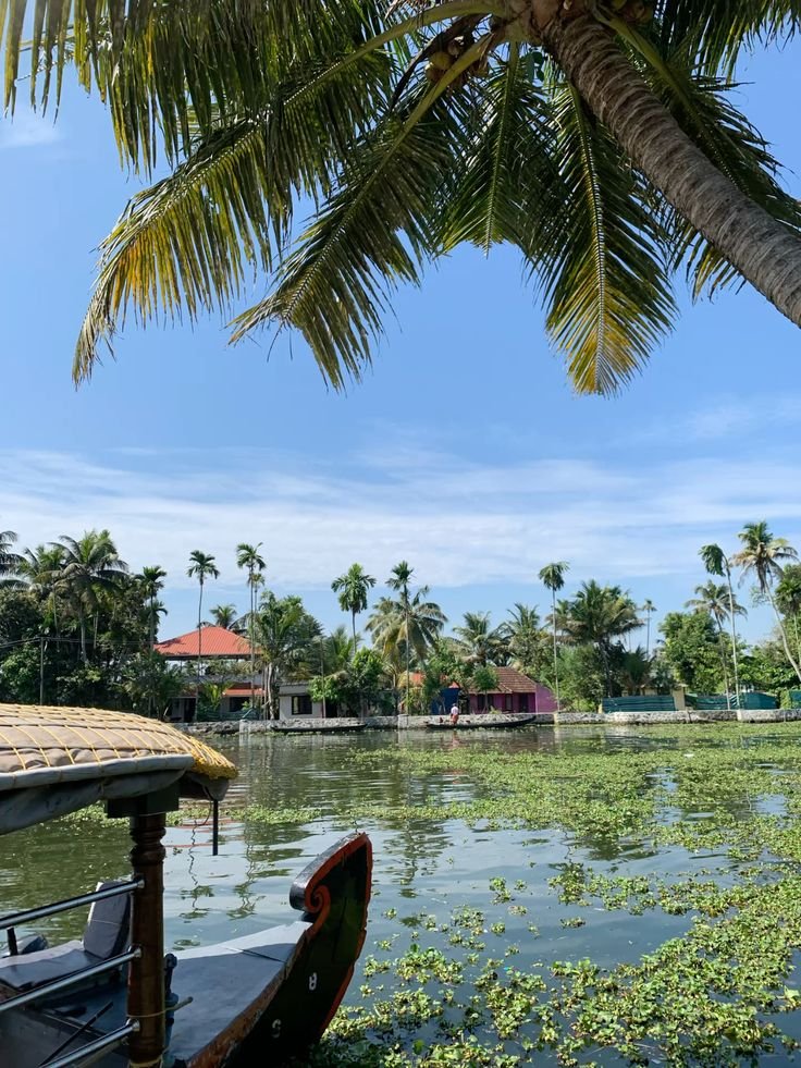 Kerala Family Trip, photo 2