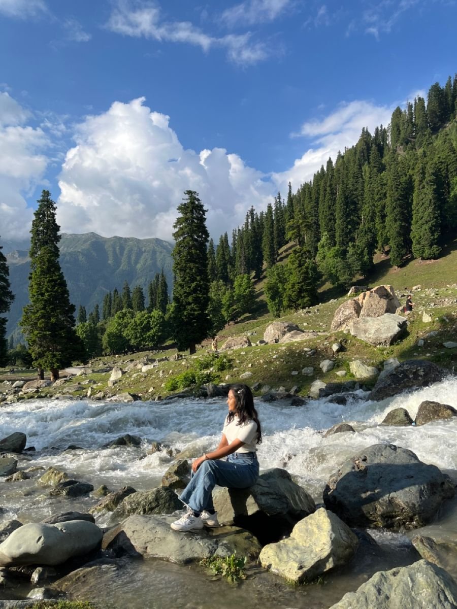 5-Day Dream Kashmir Honeymoon Journey, photo 4