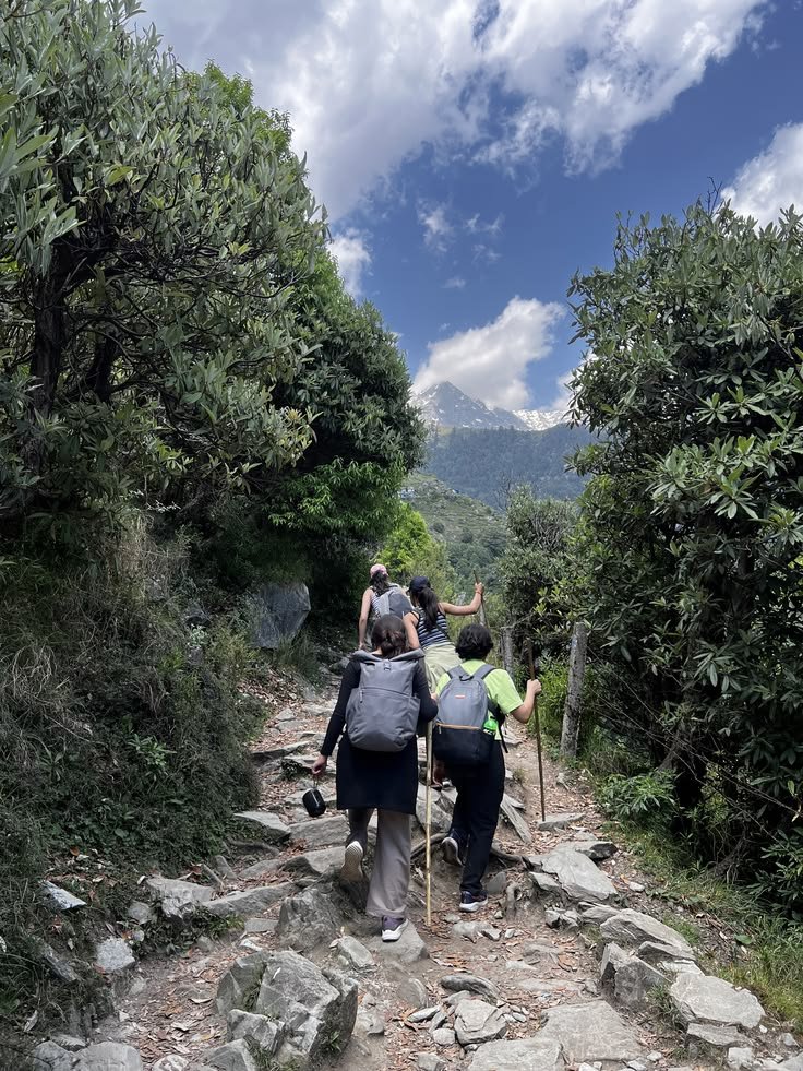 McLeod Ganj Triund Trek, photo 2