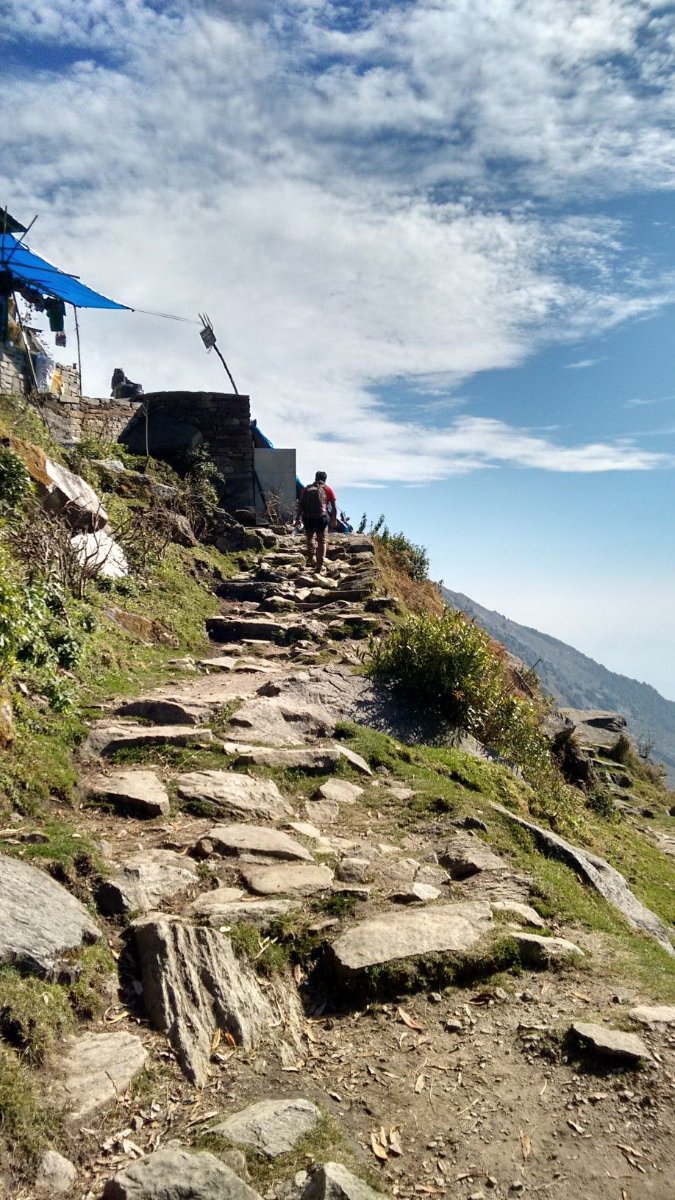 McLeod Ganj Triund Trek, photo 4