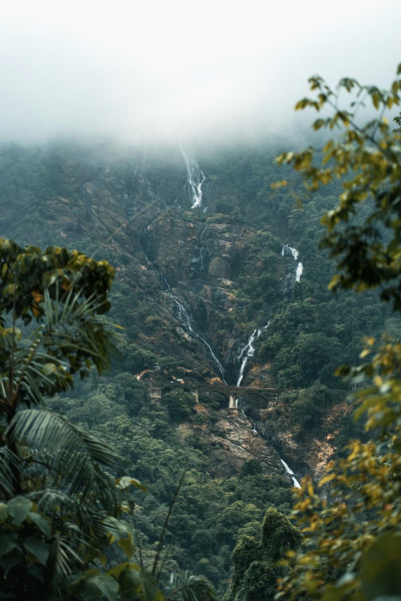 Goa Holiday Package, photo 3