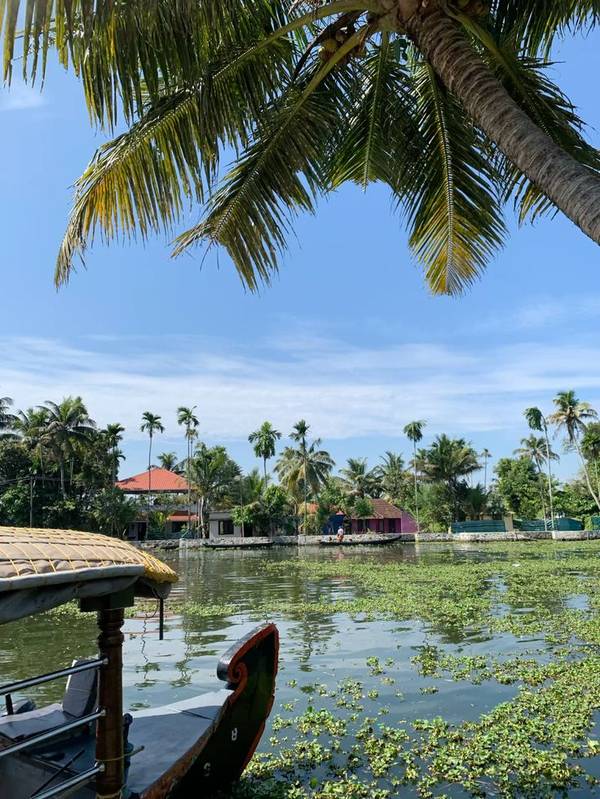 Customized Kerala honeymoon